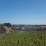 Hotel Vignoble Hotel,
