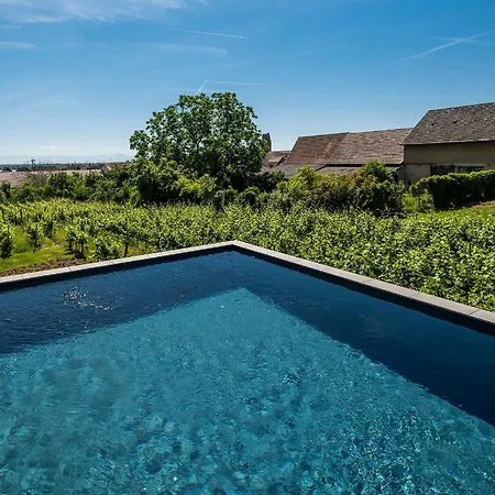 Vignoble Hotel, 4*