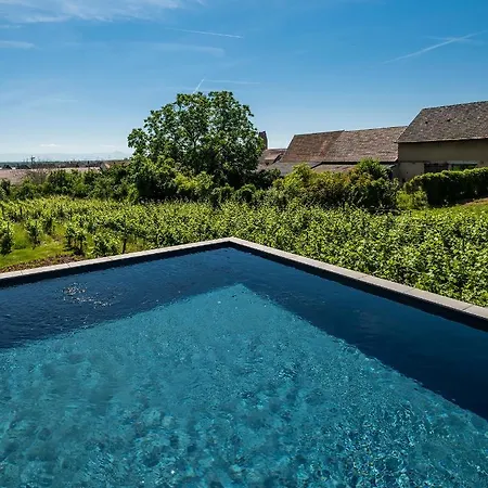 Vignoble Hotel, 4*
