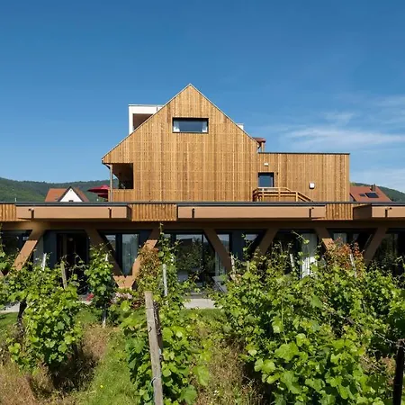 Vignoble Hotel, Эгишем