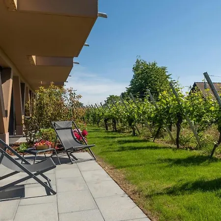 Vignoble Hotel, 4* Eguisheim