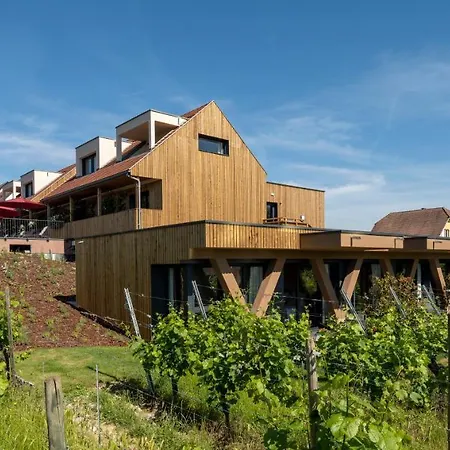 Szálloda Vignoble Hotel, 4*