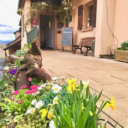 Vignoble Hotel, 4* إِجويشا