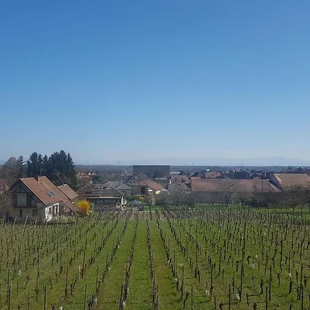 ホテル Vignoble Hotel,