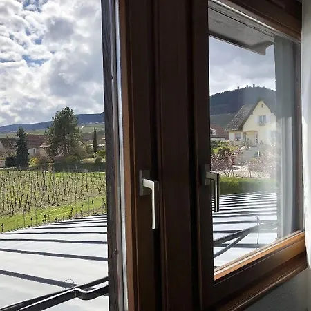 Vignoble Hotel, Hotel 4*