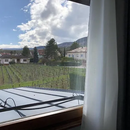 Vignoble Hotel, Hotel Eguisheim