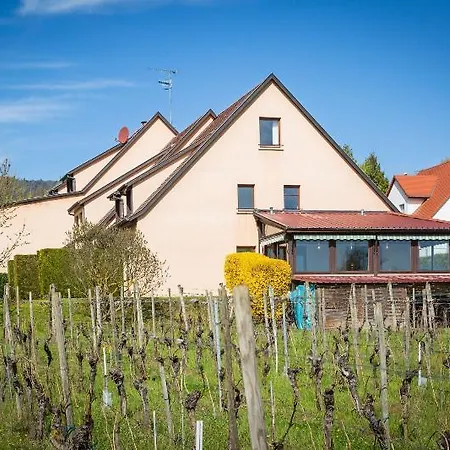 ホテル Vignoble Hotel, エーグイスハイム