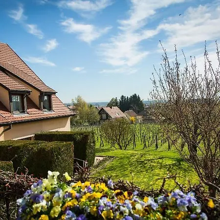 Vignoble Hotel, 4* إِجويشا