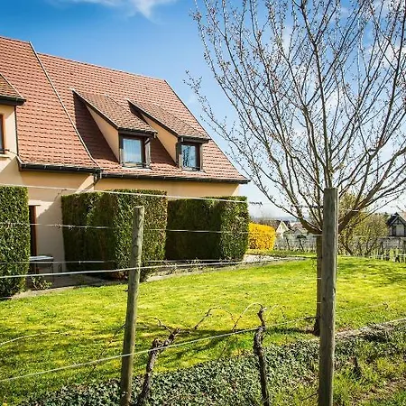 Vignoble Hotel, 4* Eguisheim