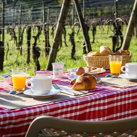 Vignoble Hotel, Hotel Eguisheim