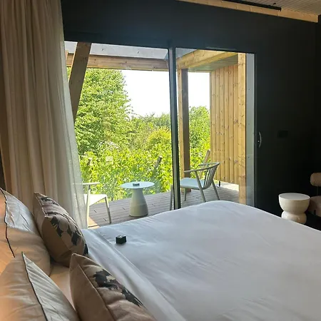 ホテル Vignoble Hotel, 4*