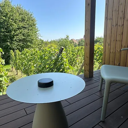 Vignoble Hotel, Szálloda Eguisheim