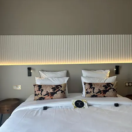 Hotel Vignoble Hotel, Eguisheim