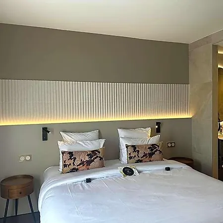Vignoble Hotel, 4* 埃圭斯海姆