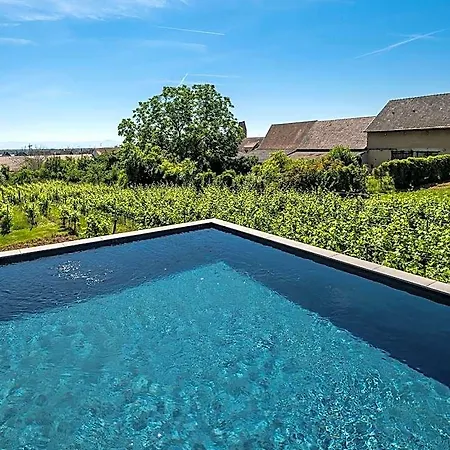 Vignoble Hotel, فندق إِجويشا