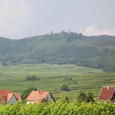 Vignoble Hotel, 4*