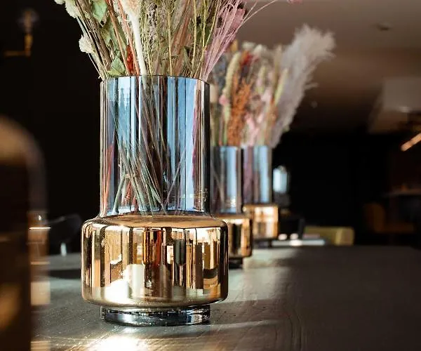 Hotel Vignoble Hotel, Eguisheim