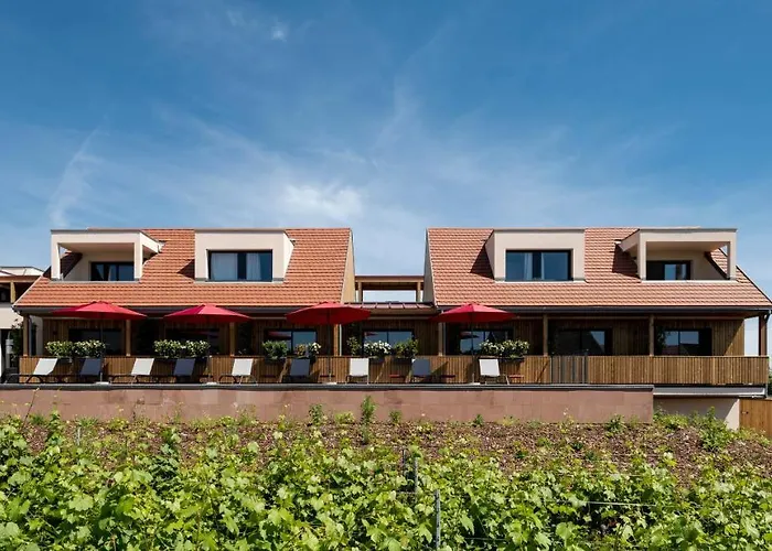 Vignoble Hotel, Eguisheim