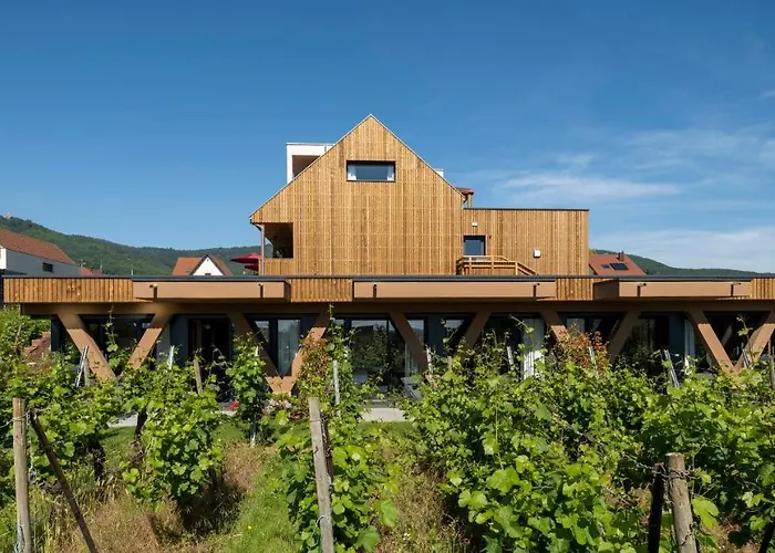 Vignoble Hotel, Eguisheim