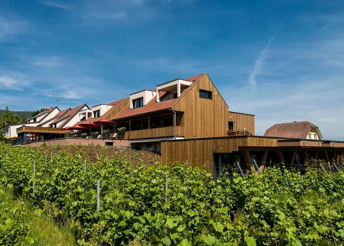 Vignoble Hotel, Hotel Eguisheim