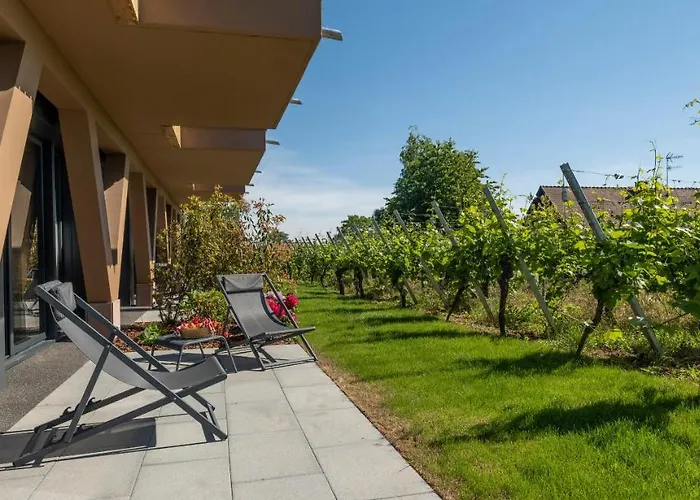 Vignoble Hotel, 4* Eguisheim