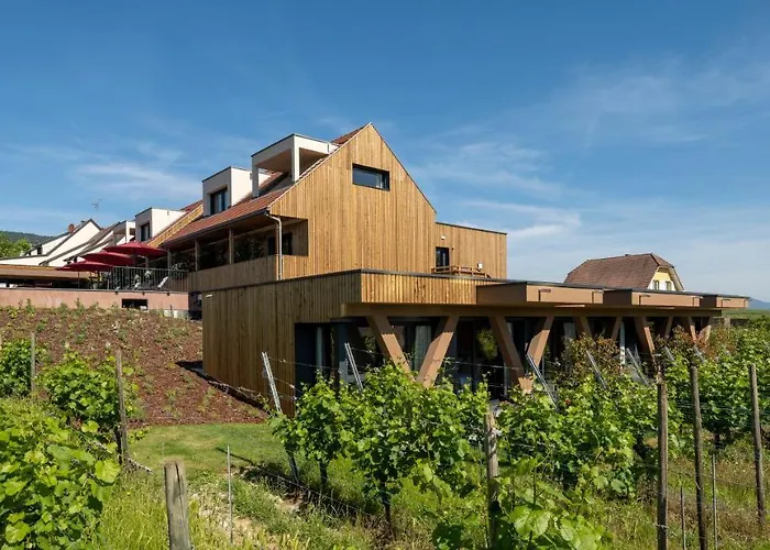 Hotel Vignoble Hotel, 4*