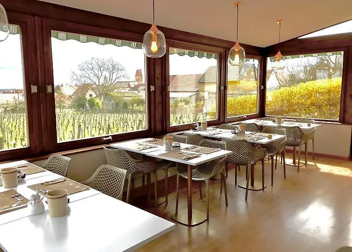 Vignoble - Hotel Eguisheim