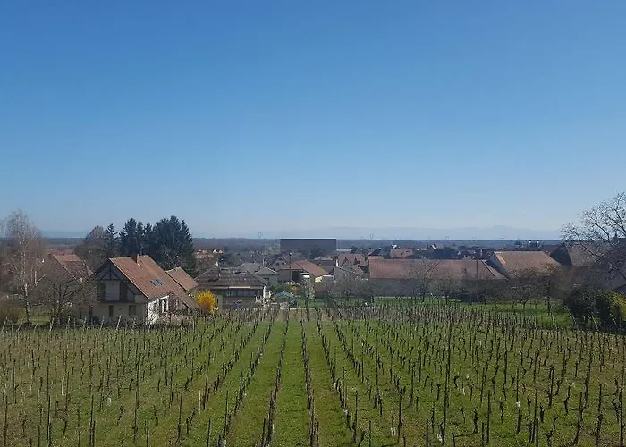 Hotel Vignoble Hotel,