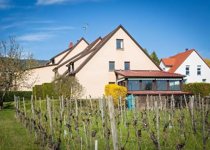 Hotel Vignoble Hotel, Eguisheim