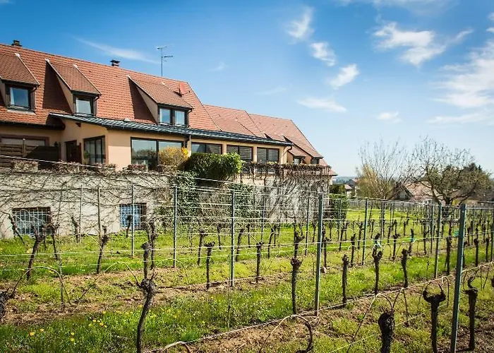 Hotel Vignoble Hotel,