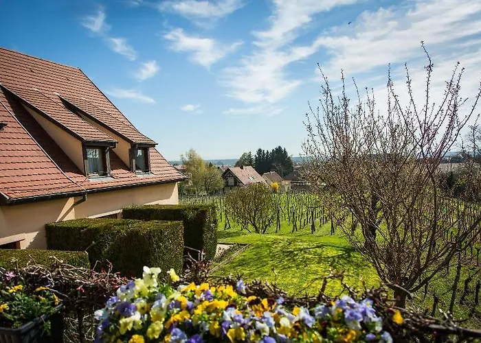Vignoble Hotel, 4* Eguisheim