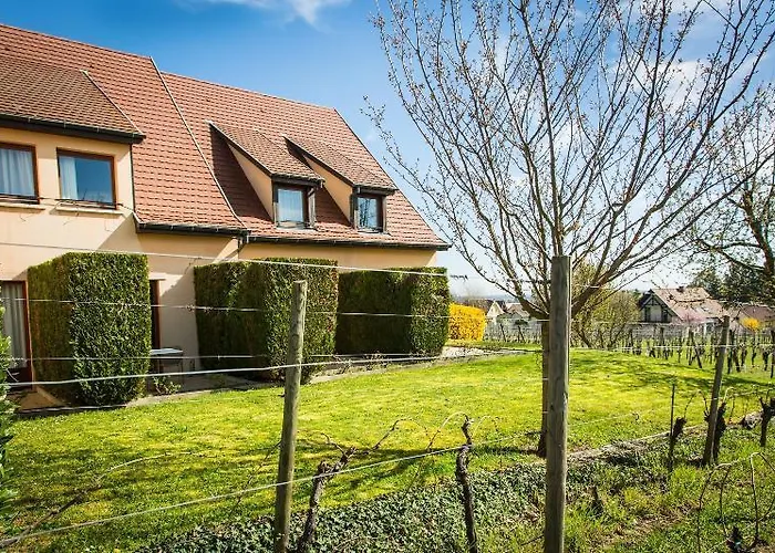 Vignoble - 4* Eguisheim