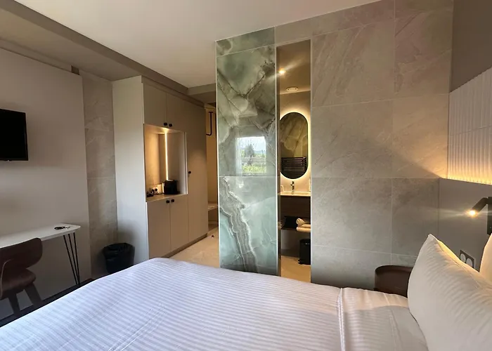 Vignoble Hotel, Hotel Eguisheim