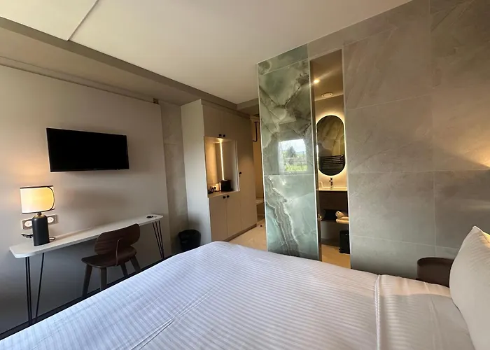 Hotel Vignoble Hotel, 4*