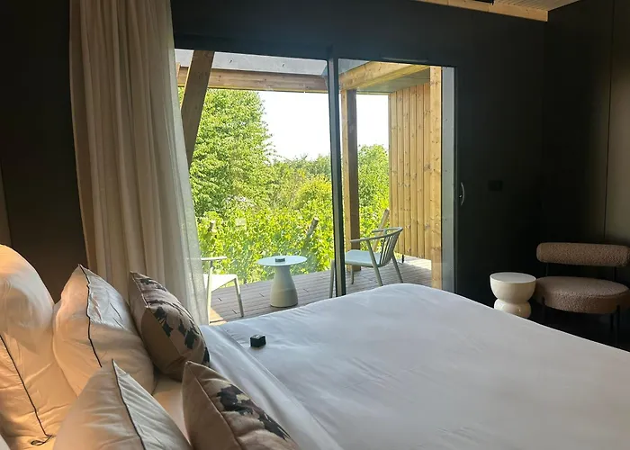 Hotel Vignoble Hotel, 4*