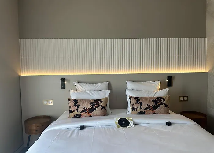 Hotel Vignoble Hotel, Eguisheim